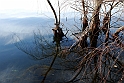 Avigliana Lago Grande In Inverno_049